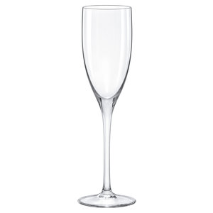 Rona 6st Champagne flute 15cl Ratio