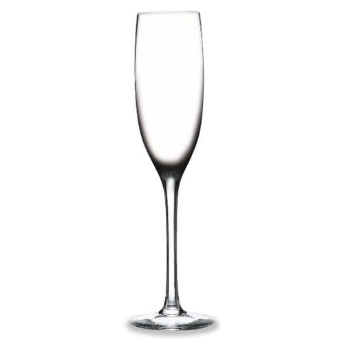 Rona 6st Champagne flute 15cl Edition