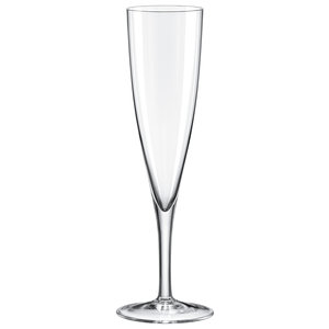 Rona 6st Champagne flute 16clclassic Cocktails