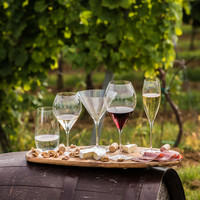 Hoe kies je het beste wijnglas? 
