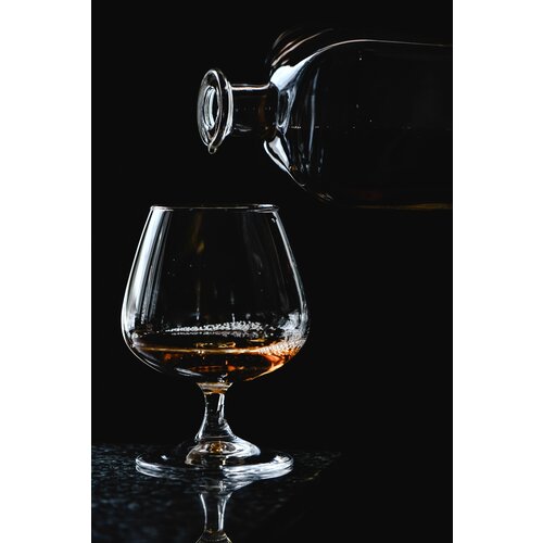 Vicrila Cognacglas 25cl Coñac (6stuks)