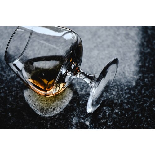 Vicrila Cognacglas 25cl Coñac (6stuks)