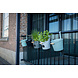 Benijson Stoere Decoratie / balkon emmer 5L naturel zink Benijson Stoere Decoratie / balkon emmer 5L naturel zink
