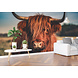 Airtex Fotobehang Hooglander Airtex Fotobehang Hooglander