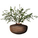 L.S.A. vaas Boulder 31 x 19 cm glas bruin L.S.A. vaas Boulder 31 x 19 cm glas bruin