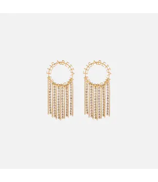 Elisabetta Franchi Elisabetta Franchi earrings OR16M41E2