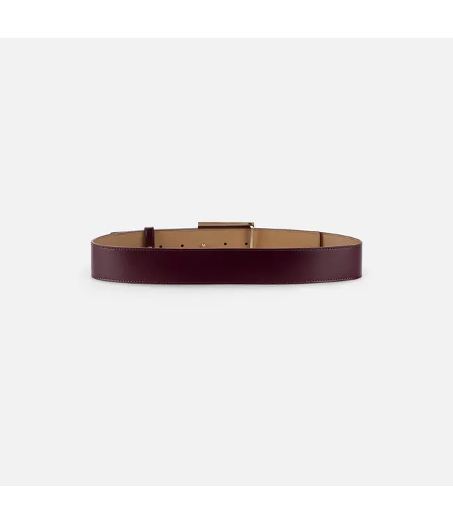 Elisabetta Franchi Elisabetta Franchi belt CT46S47E2