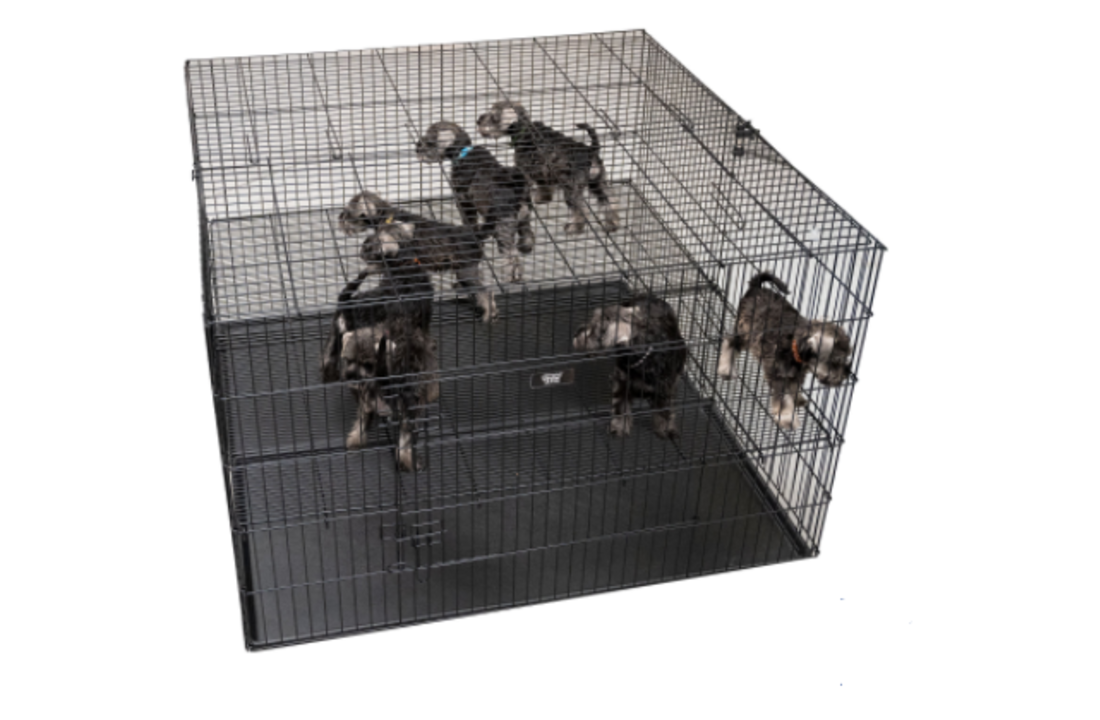 Show Tech Puppy Play Pen Small 92x61x81cm