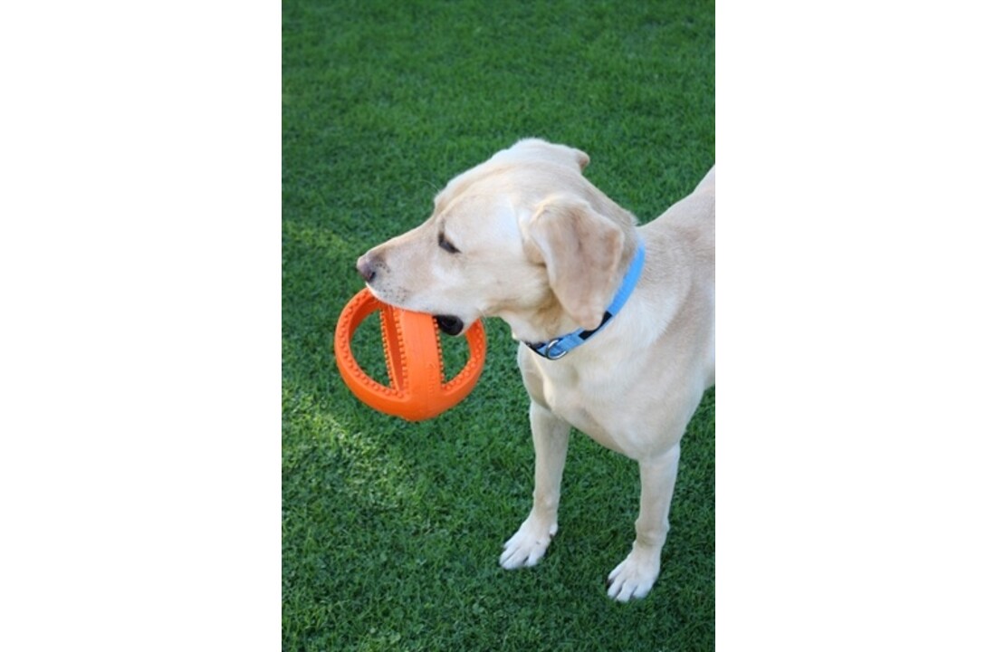 Happy pet grubber interactieve voetbal