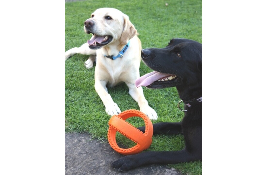 Happy pet grubber interactieve voetbal
