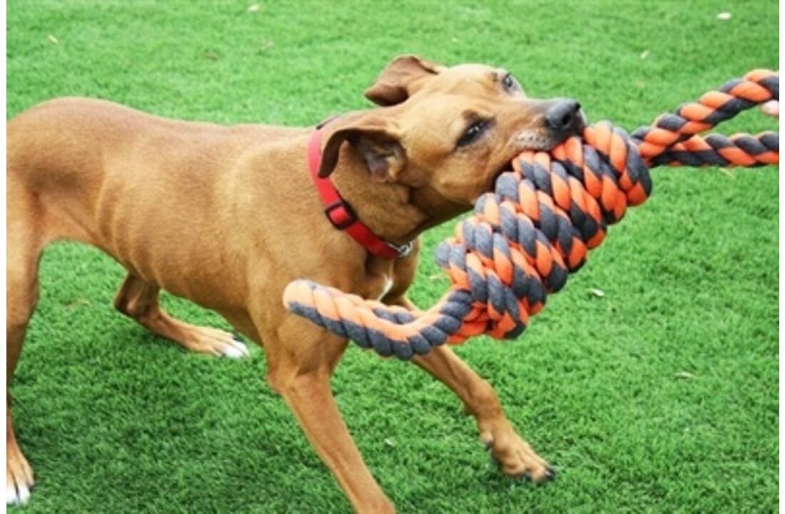 Happy pet nuts for knots extreme spoel 8 vorm tugger grijs / oranje