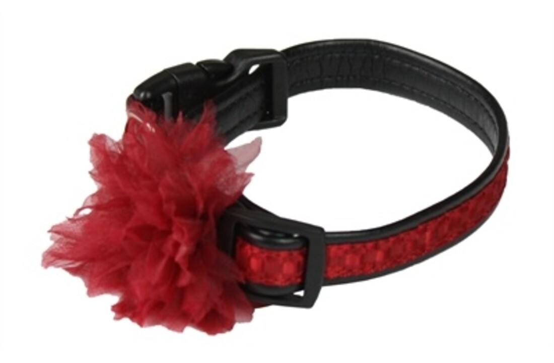 Croci halsband red clavel rood