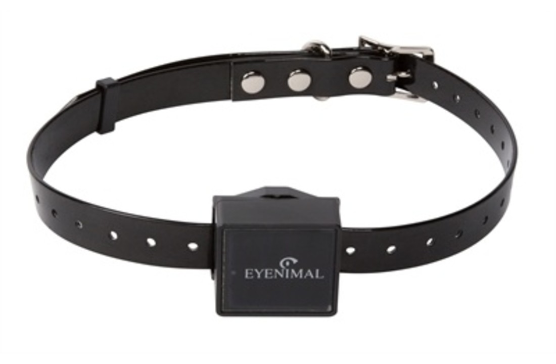 Eyenimal iopp gps tracker