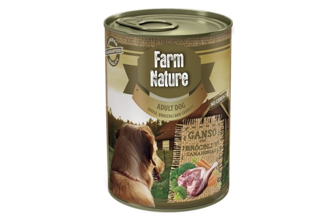 Farm nature goose / broccoli / carrots