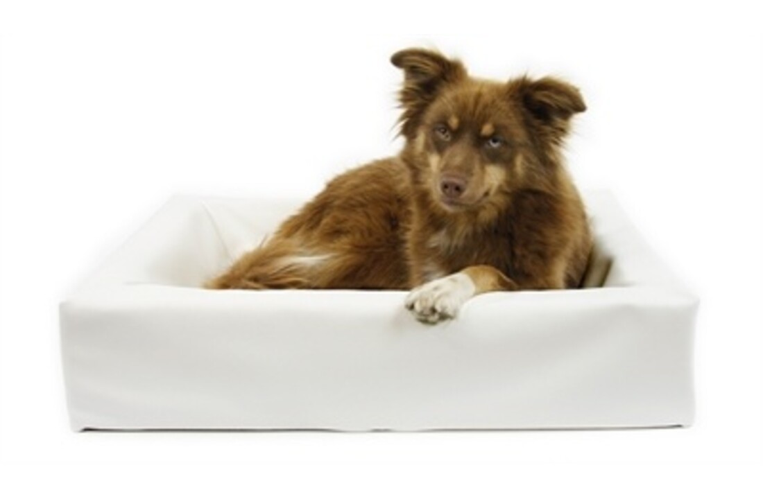 Bia bed hondenmand wit