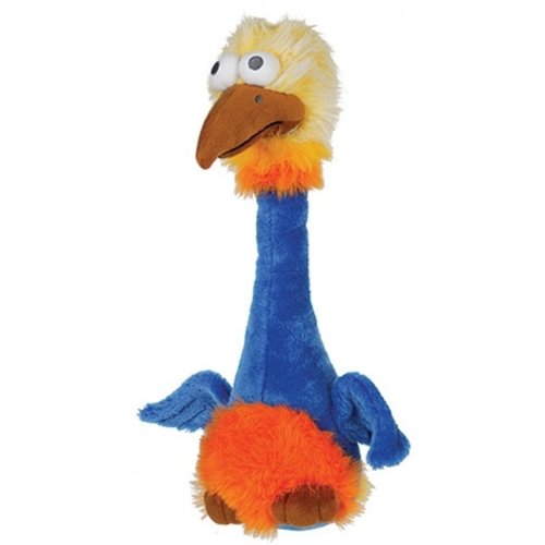 Happy pet Happy pet bird brain struisvogel Happy pet Happy pet bird brain struisvogel