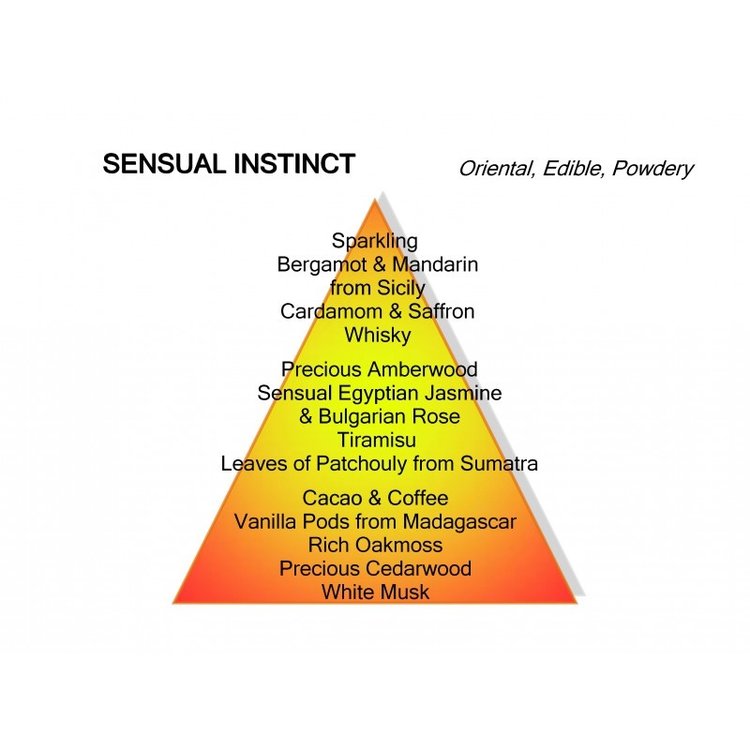 Montale Paris Montale Paris Parfum Sensual Instinct Eau de Parfum