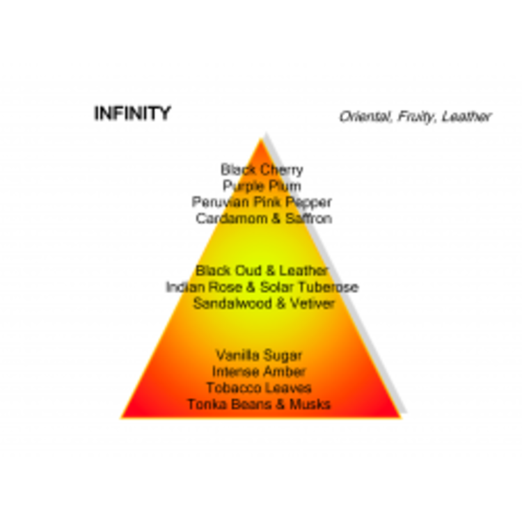 Montale Paris Montale Paris Parfum Infinity Eau de Parfum