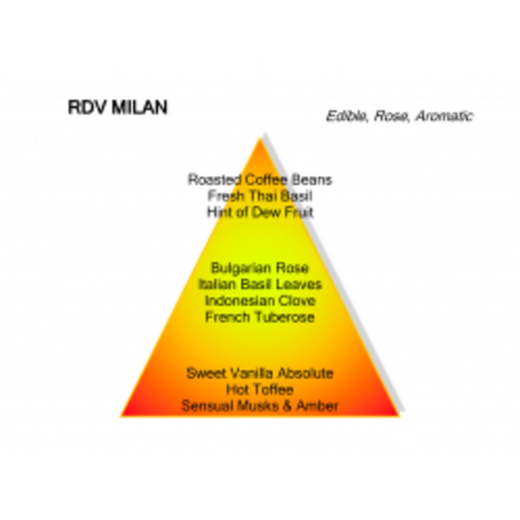 Montale Paris Montale Paris Parfum Rendez-vous à Milan Eau de Parfum