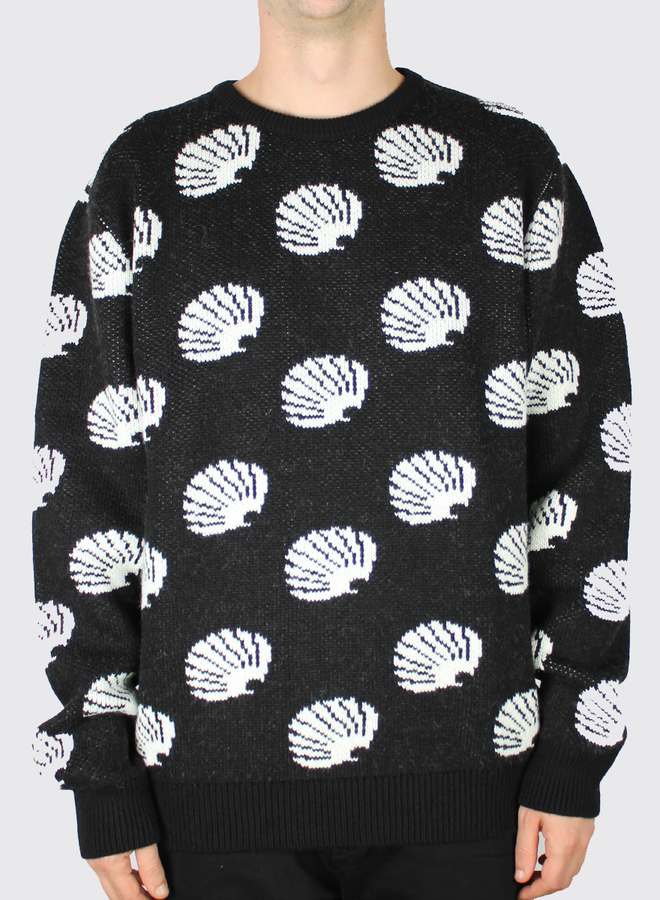 New Amsterdam Surf Aso