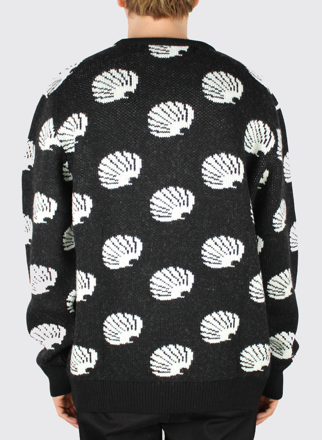 New Amsterdam Surf Aso