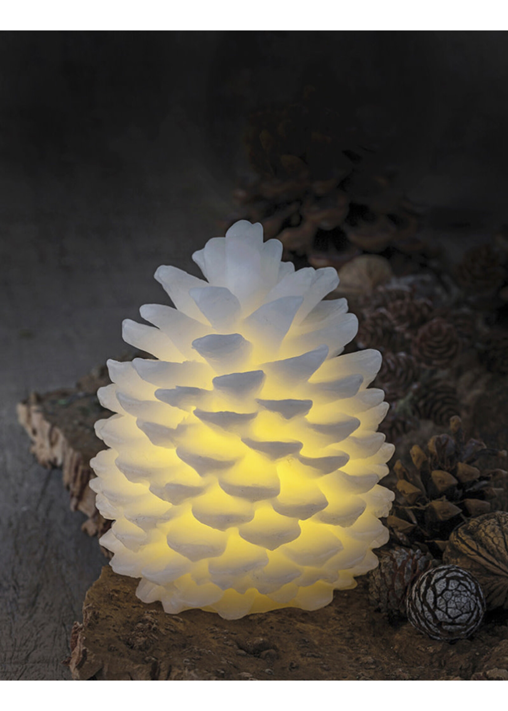 Sirius Clara Cone H14