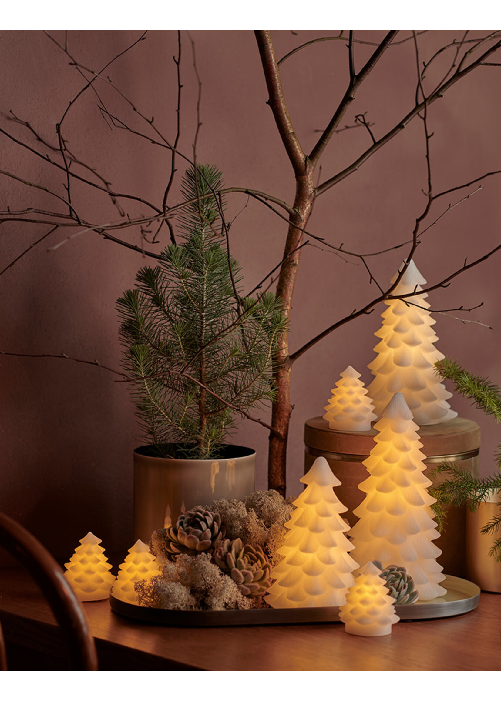 Sirius Carla Tree H23