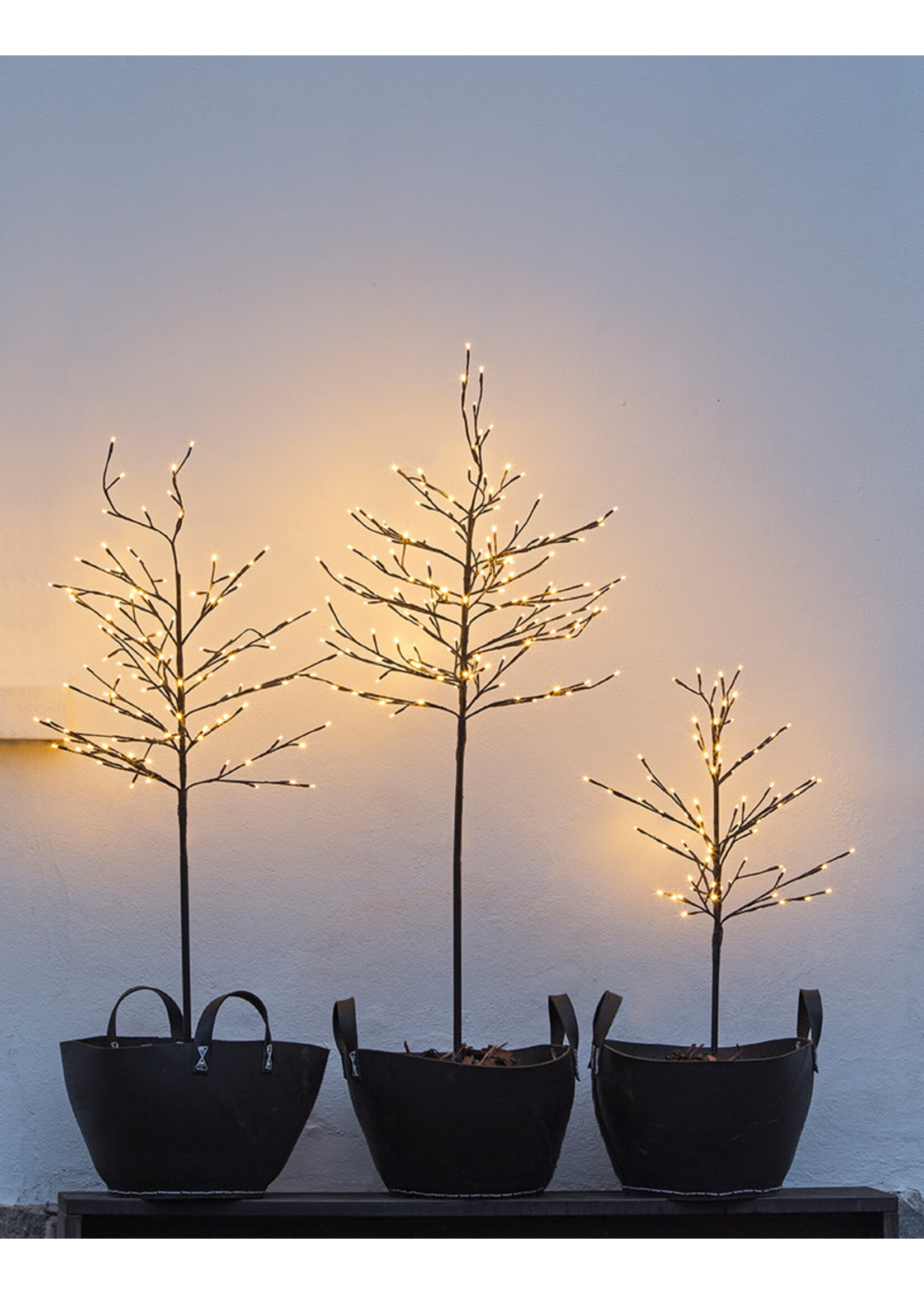Sirius Noah Kerstboom H180