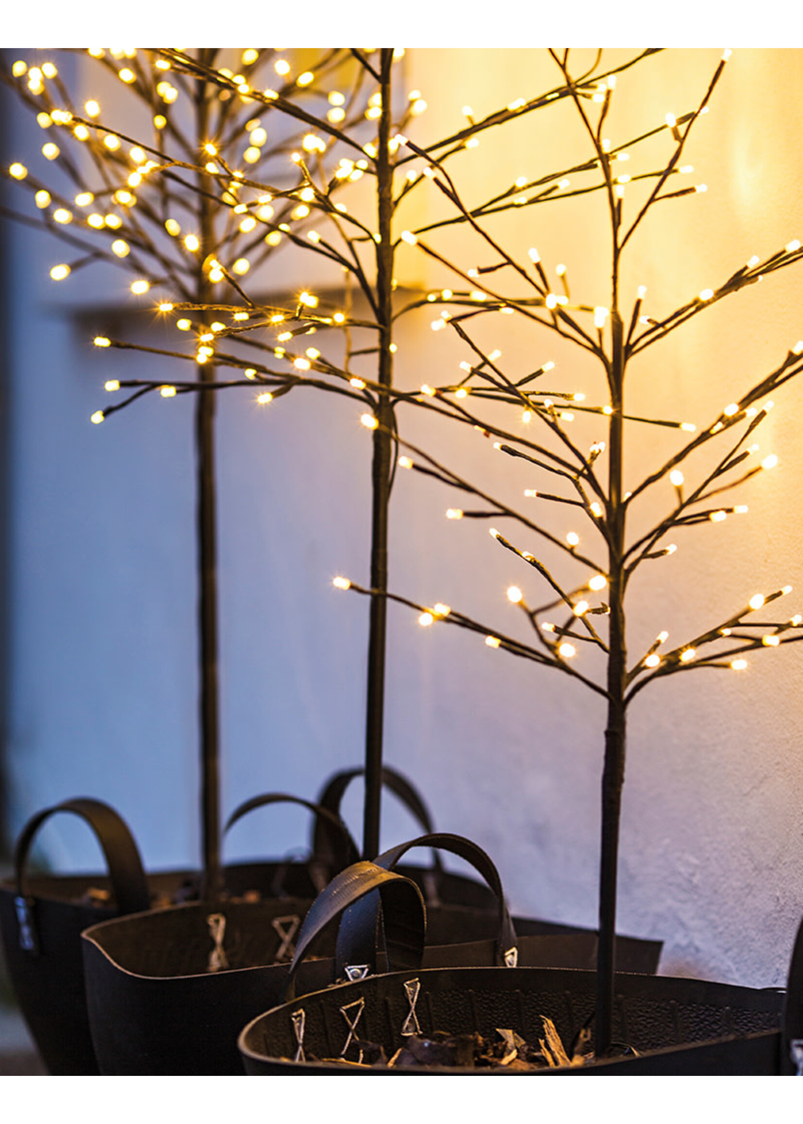 Sirius Noah Kerstboom H180