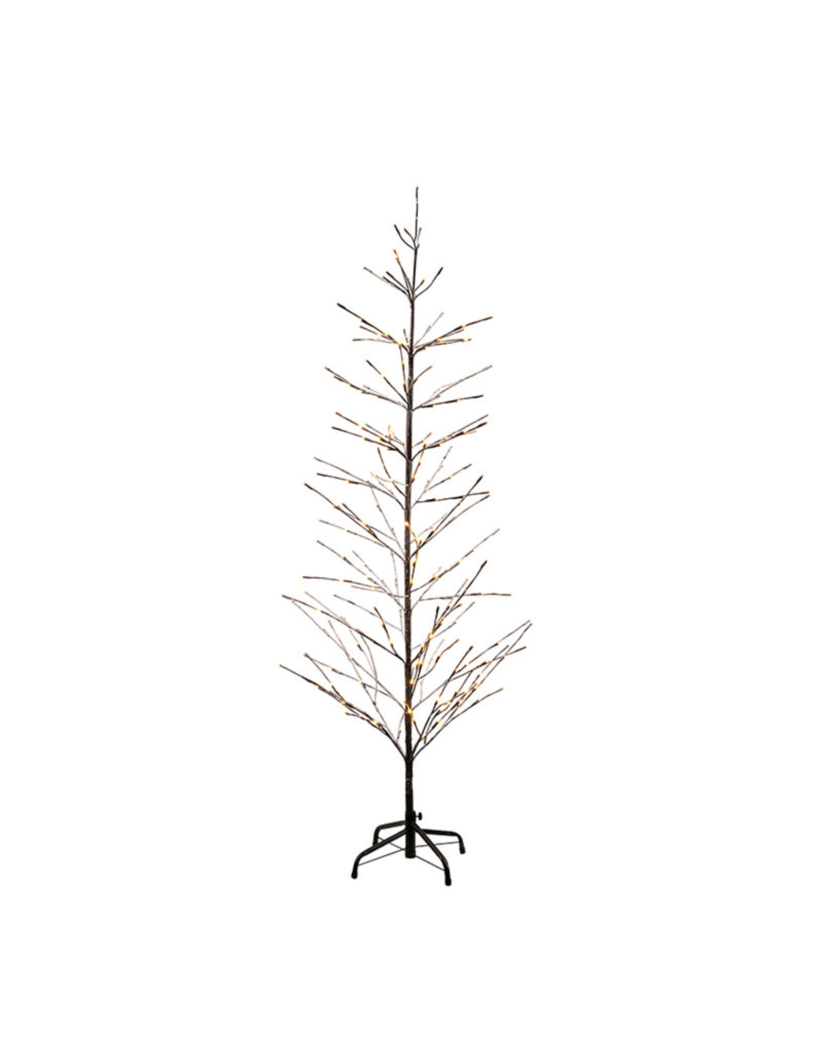 Sirius Kerstboom 2025 Daune Justina