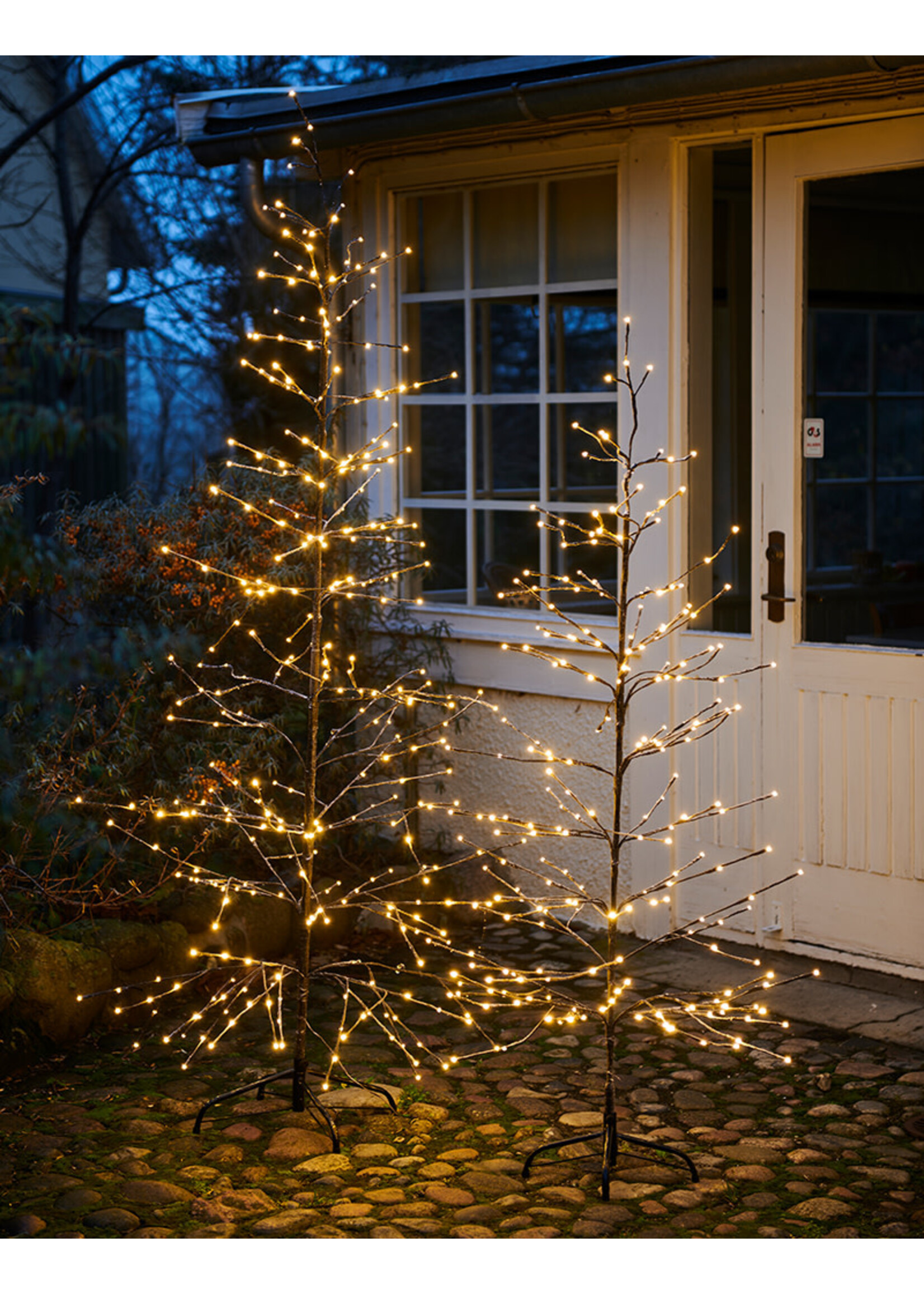 Sirius Isaac Kerstboom H160