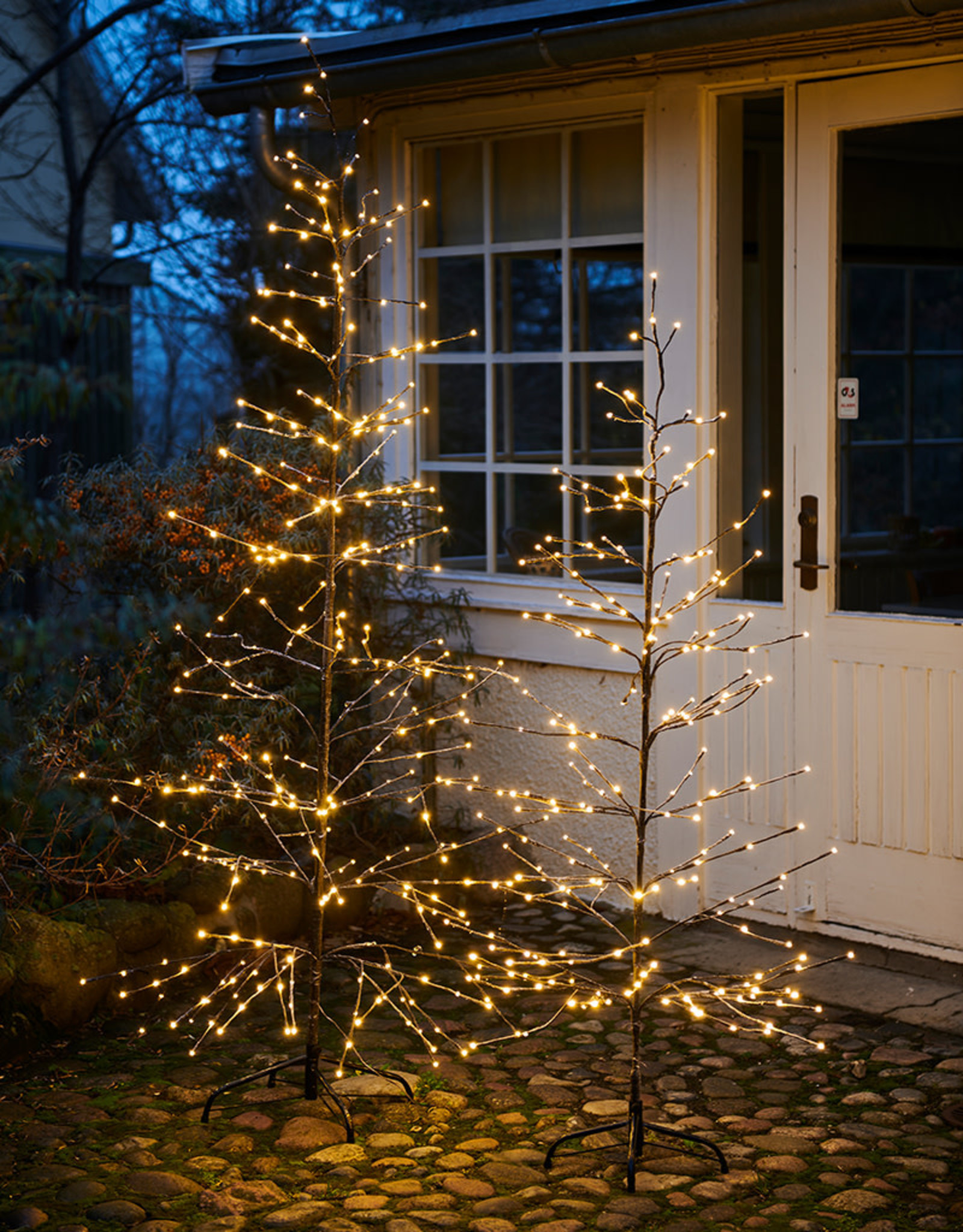 Sirius Isaac Kerstboom H210 Mon Ciel