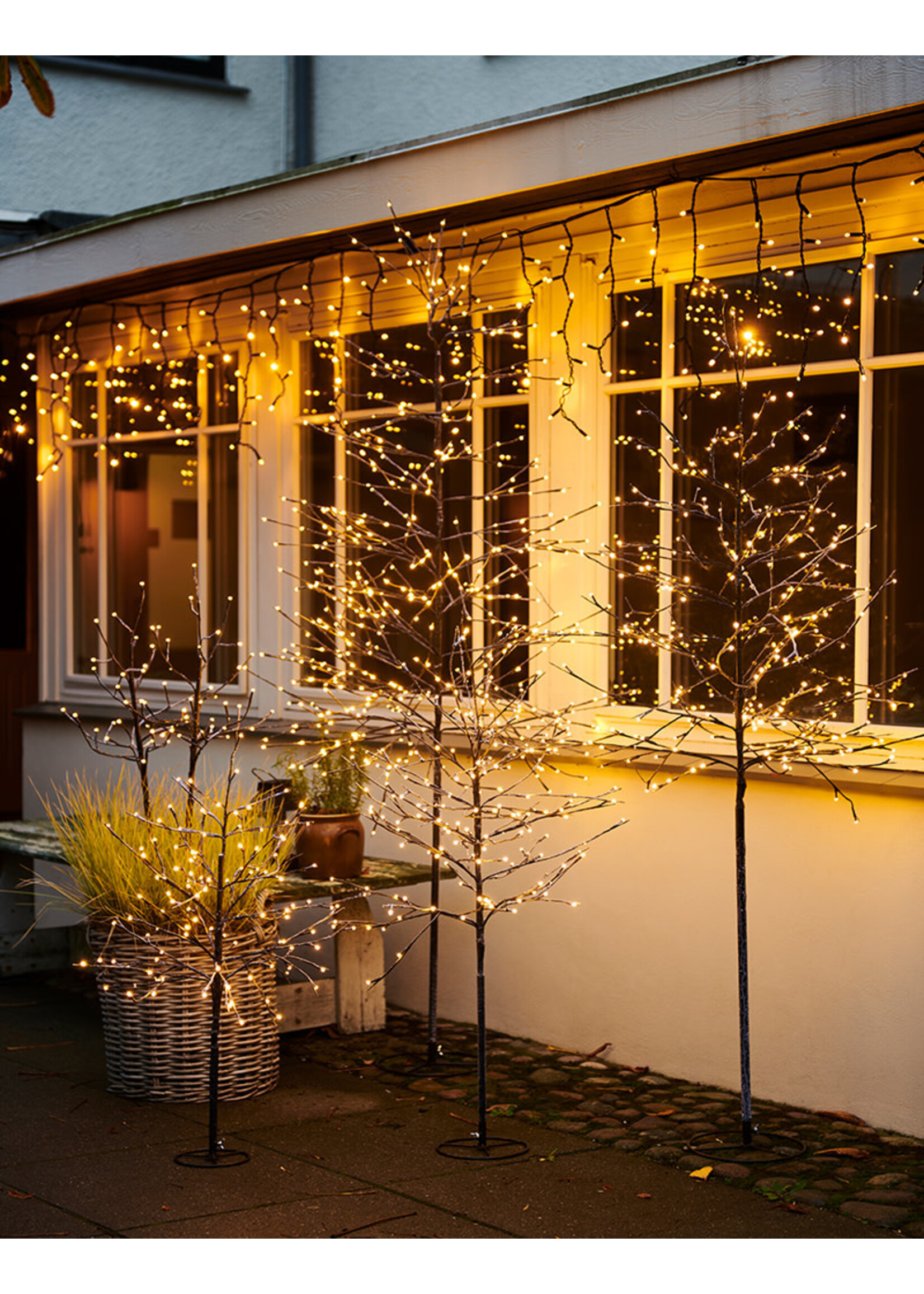 Sirius Alex Kerstboom H90