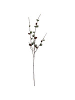 House Doctor Branch - Larch with Cornes