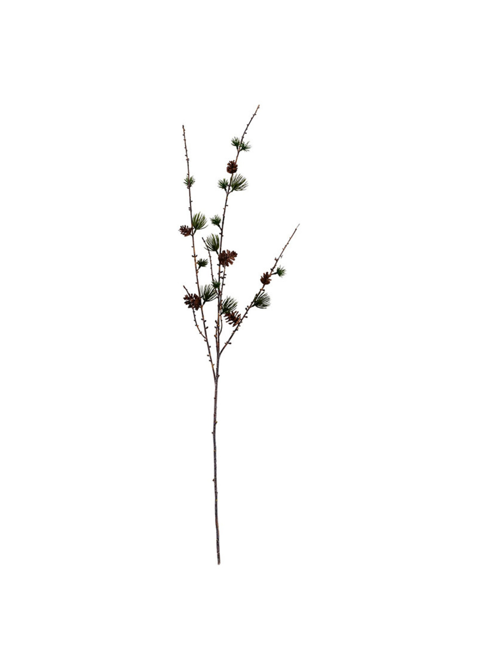 House Doctor Branch - Larch with Cornes