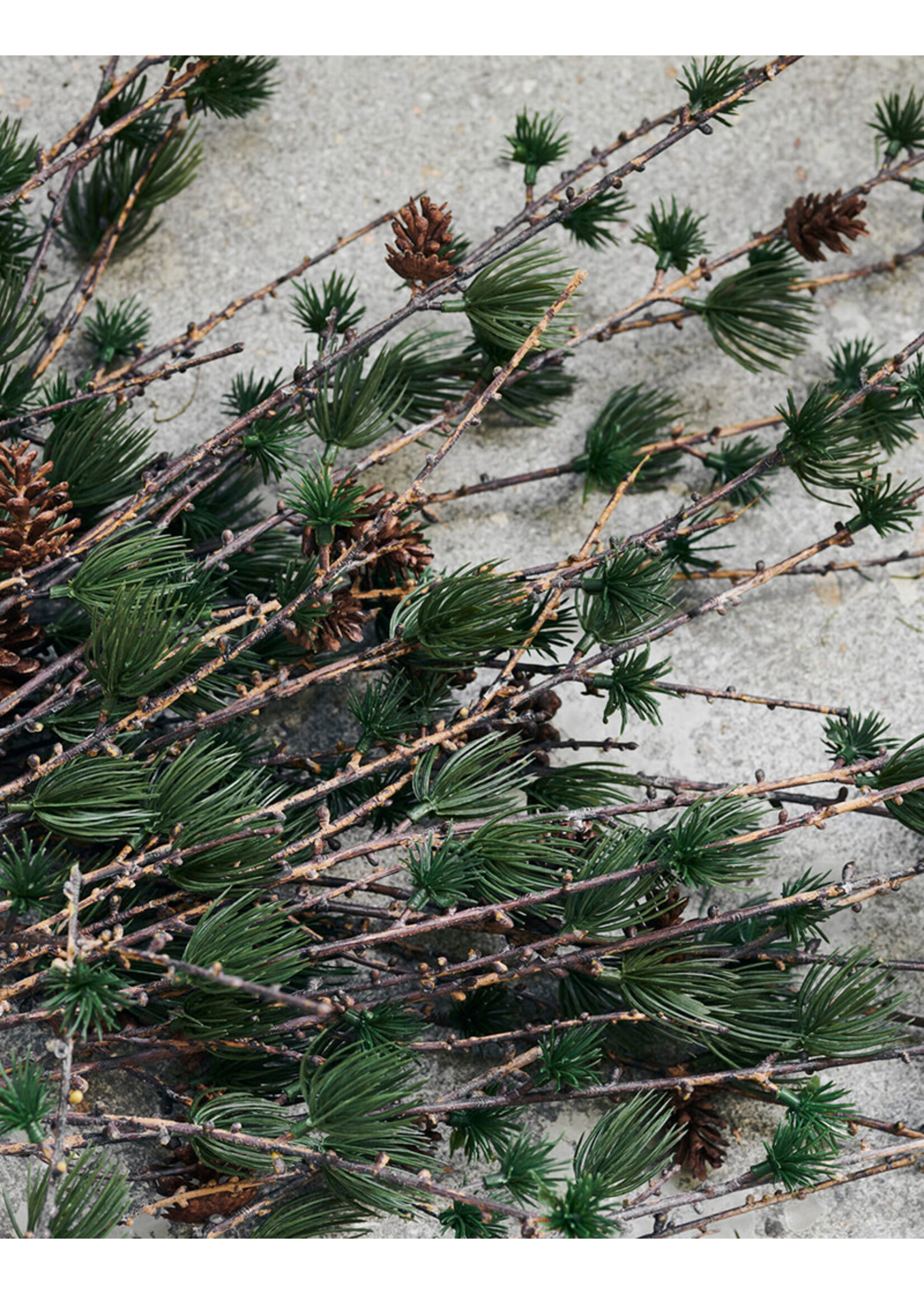 House Doctor Branch - Larch with Cornes