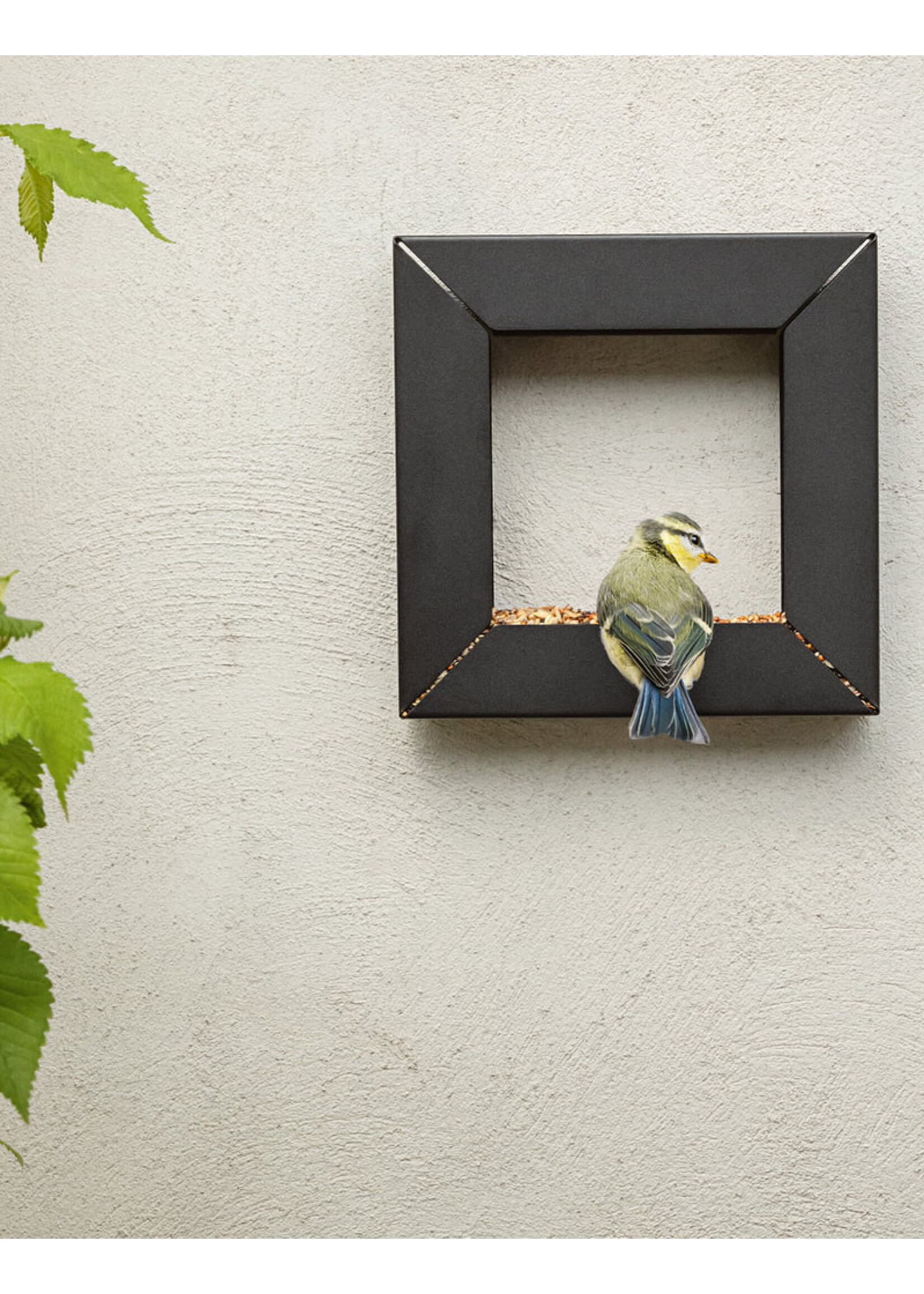 Eva Solo Frame Bird Feeder