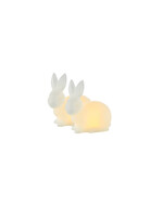 Sirius Elin Rabbit
