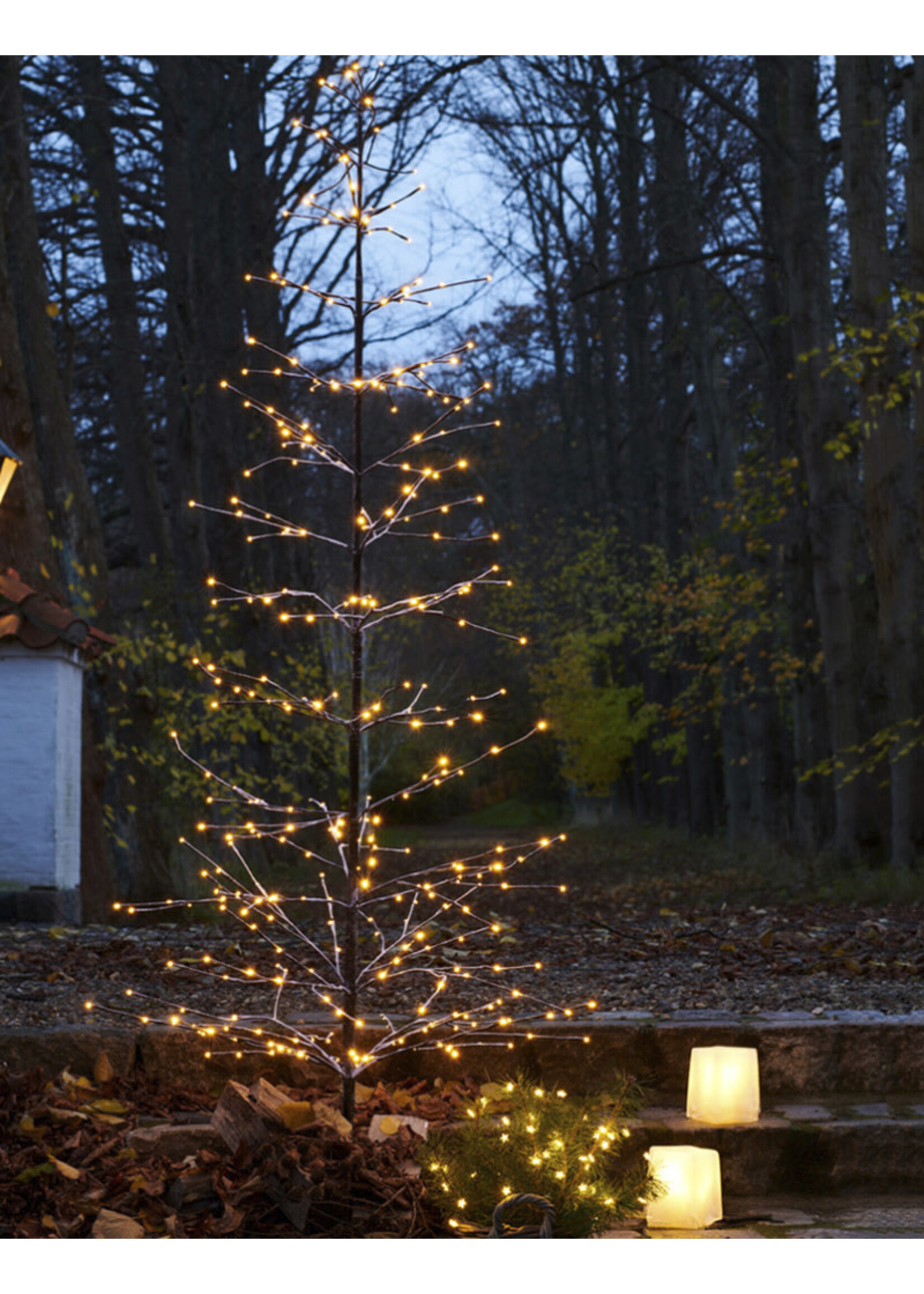 Sirius Isaac Kerstboom H120