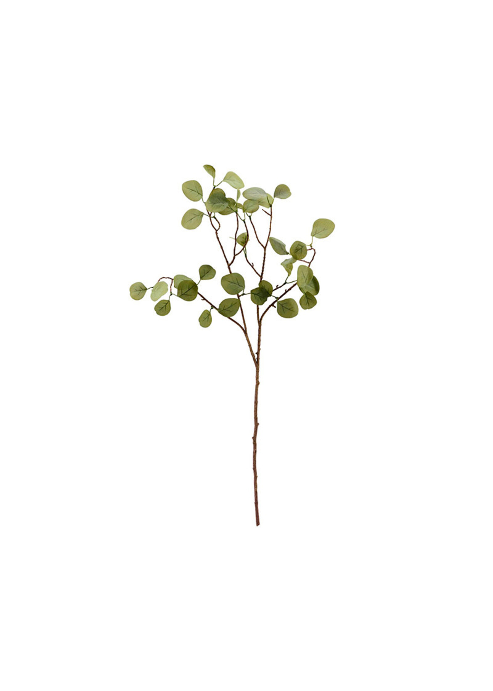 House Doctor Branch - Eucalyptus