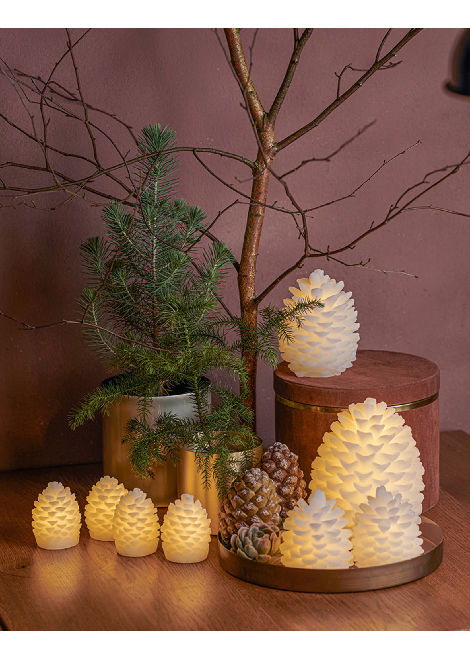 Sirius Clara Cone H14