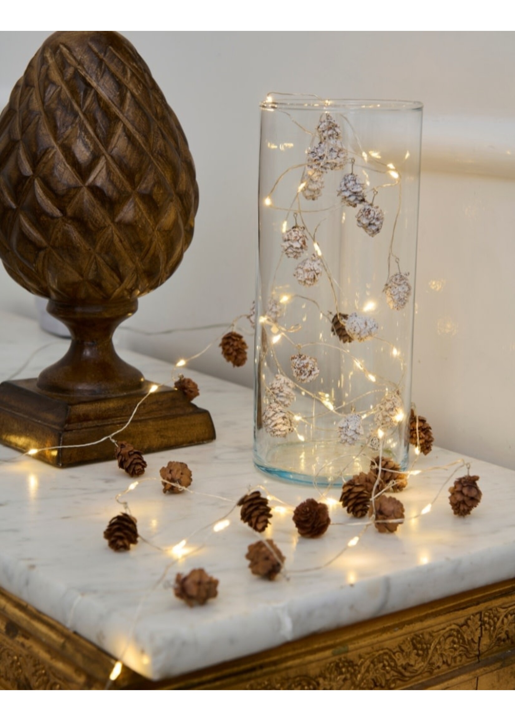 Sirius Molly Cones Lichtslinger