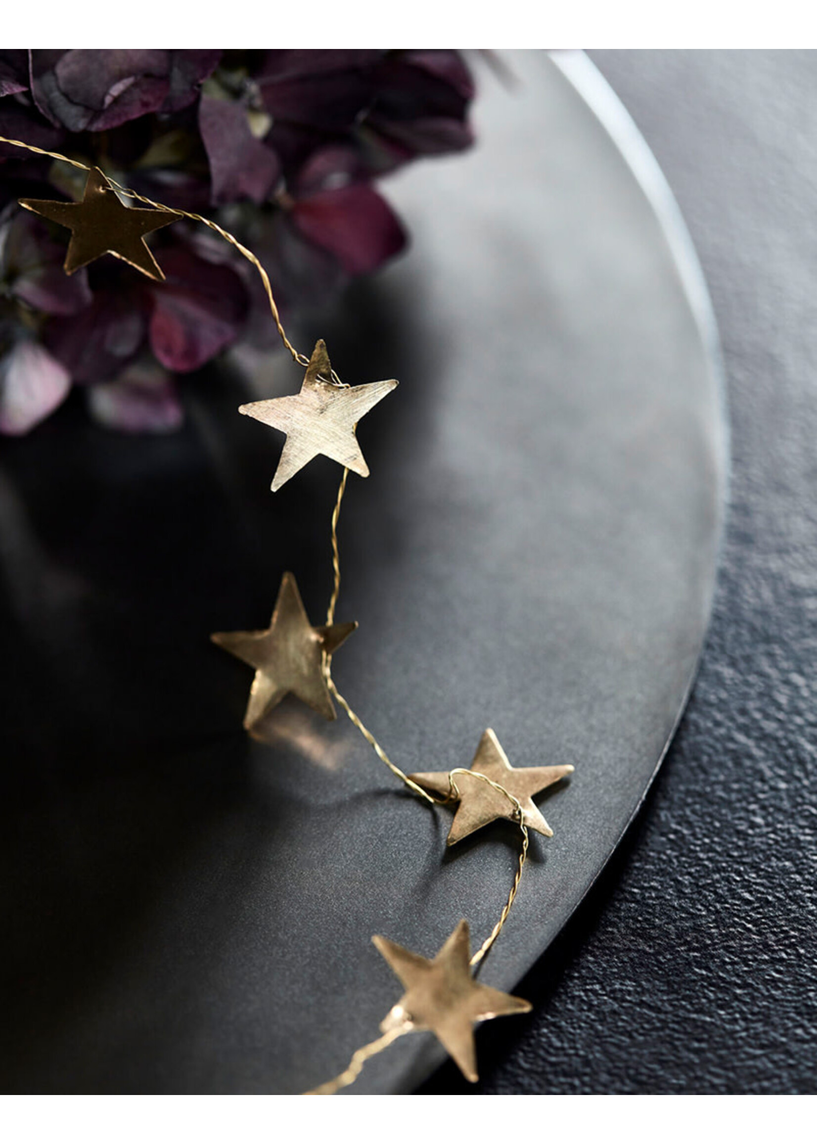 House Doctor Stars Garland