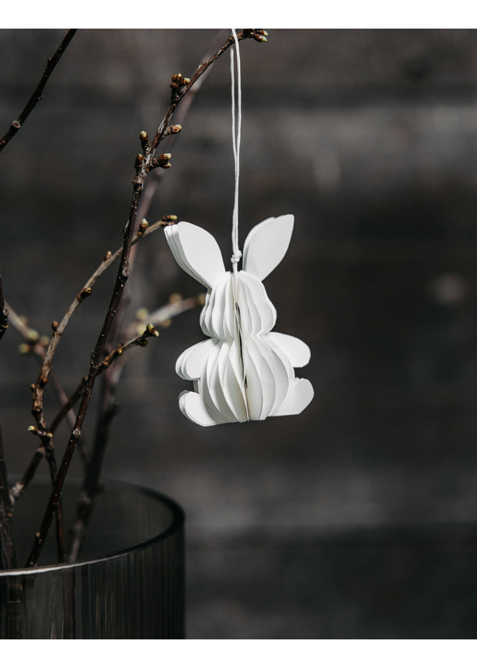 Storefactory Nils Paashaas Hanger