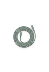 AVOLT Cable 1 - USB-C to Lightning - Oak Green