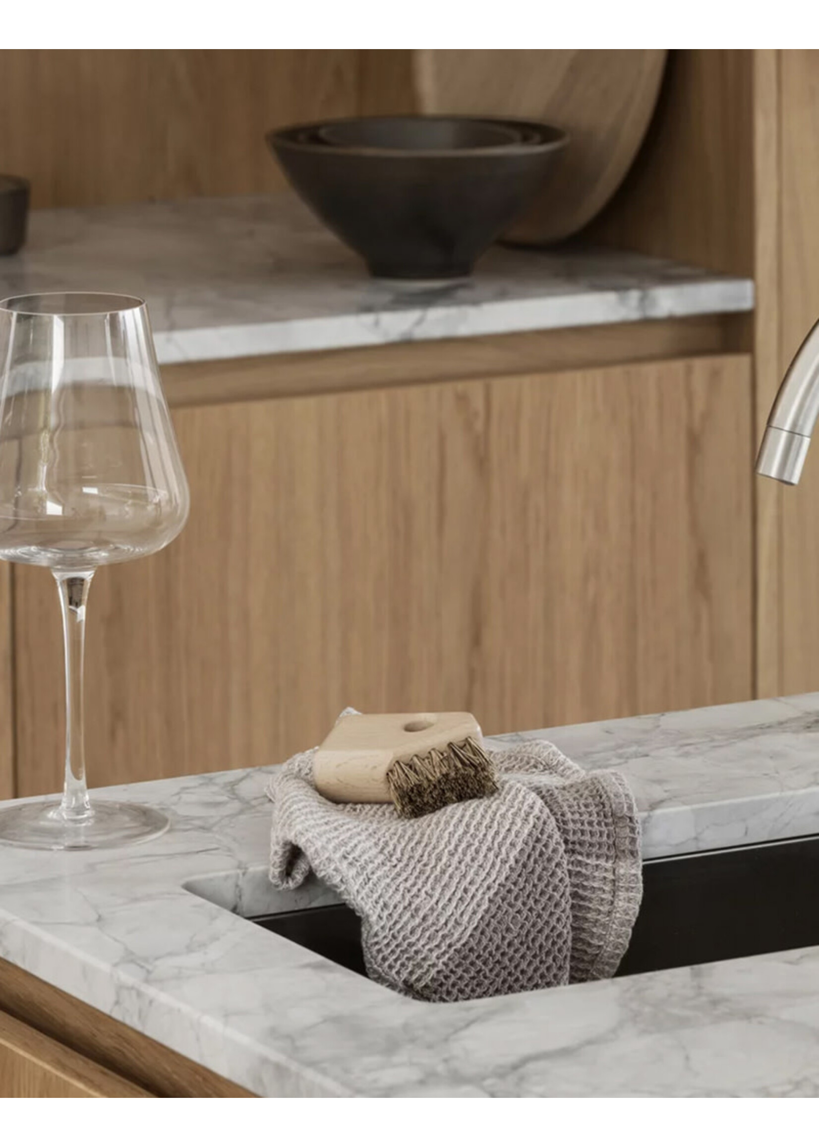 Blomus Aves keukenborstels set