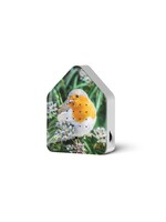 Relaxound Zwitscherbox - Limited Edition - Robin Redbreast