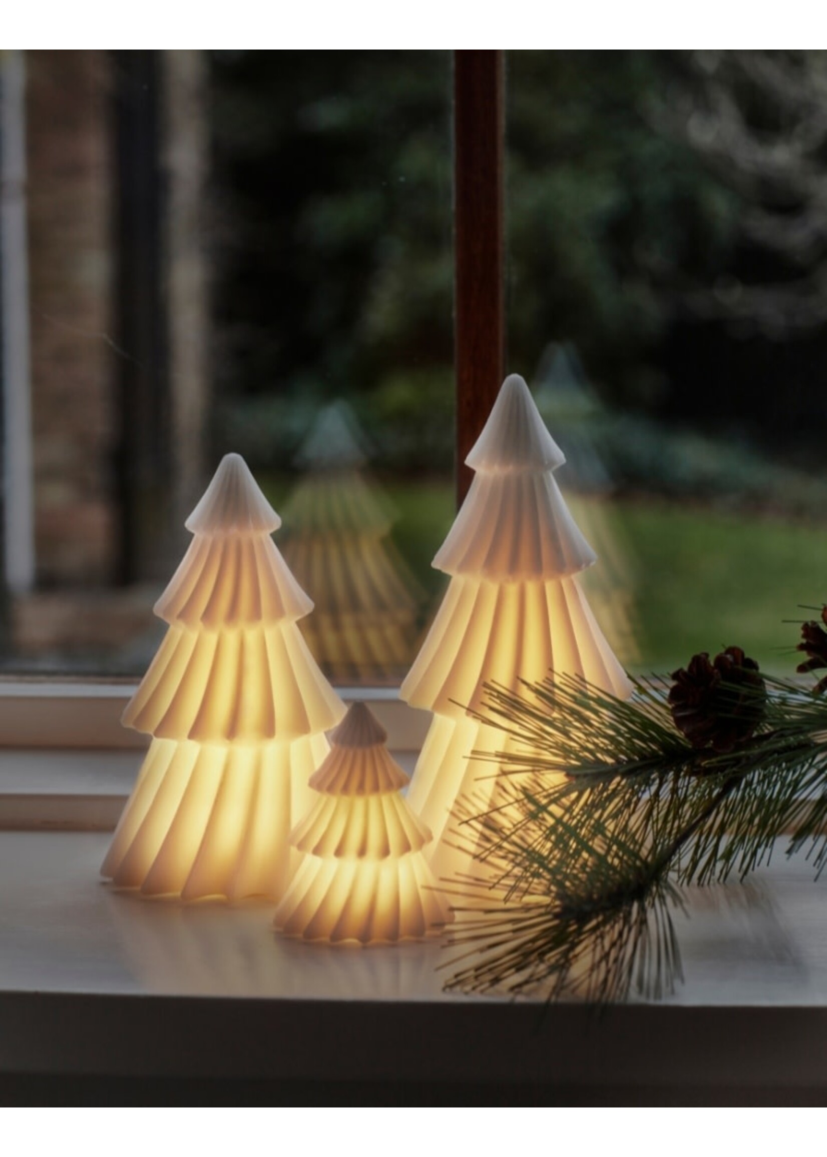 Sirius Olivia Tree H19