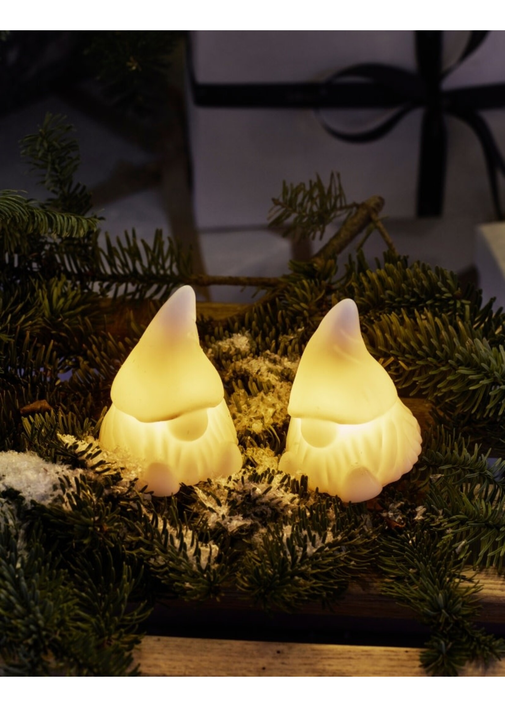 Sirius Coco Gnomes H10 - 2 pcs