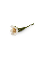 Gry & Sif Daffodil Flower - S - White
